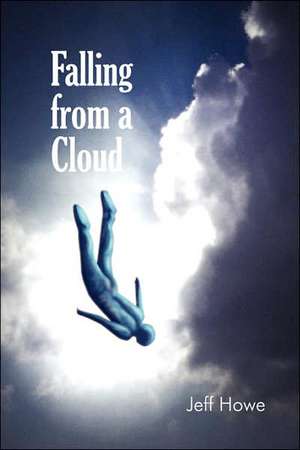 Falling From a Cloud de Jeff Howe