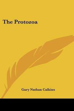 The Protozoa de Gary Nathan Calkins