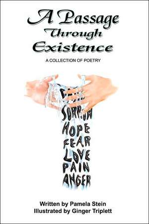 A Passage Through Existence: A Collection Of Poetry de Pamela Stein