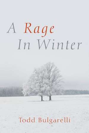 A Rage in Winter de Todd Null Bulgarelli