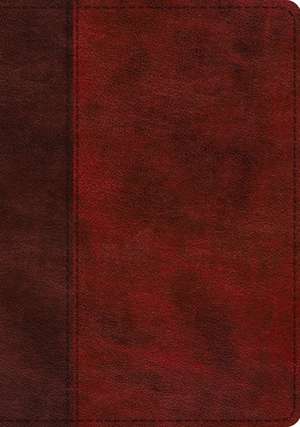 ESV Single Column Journaling Bible, Large Print (TruTone, Burgundy/Red, Timeless Design) de Spck