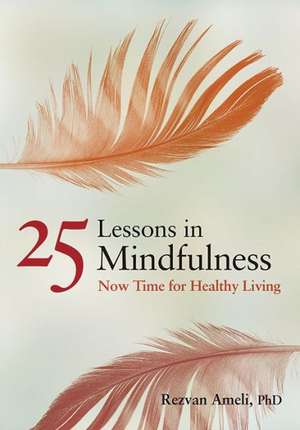 25 Lessons in Mindfulness – Now Time for Healthy Living de Rezvan Ameli