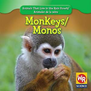 Monkeys/Monos de Julie Guidone