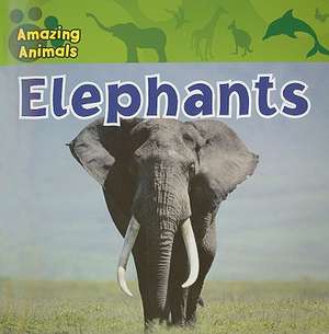 Elephants de Sarah Albee