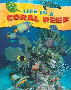 Life in a Coral Reef de Jen Green