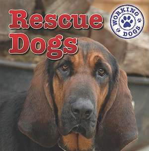 Rescue Dogs de Kristen Rajczak