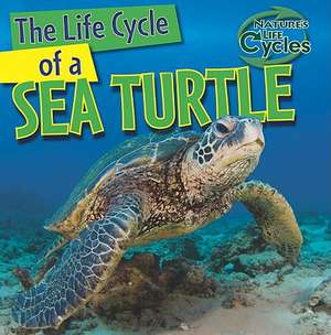 The Life Cycle of a Sea Turtle de Anna Kingston