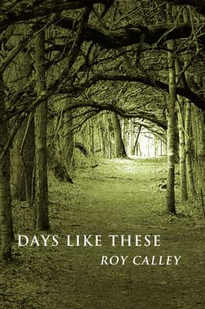 Days Like These de Roy Calley