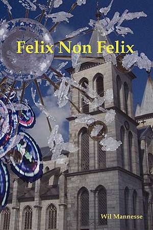 Felix Non Felix de Wil Mannesse