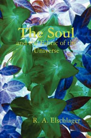 The Soul and the Fabric of the Universe de R. A. Elschlager