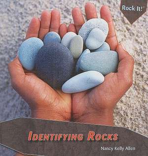 Identifying Rocks de Nancy Kelly Allen