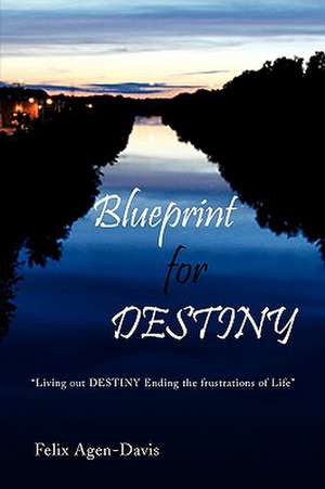 Blueprint for Destiny de Felix Agen-Davis