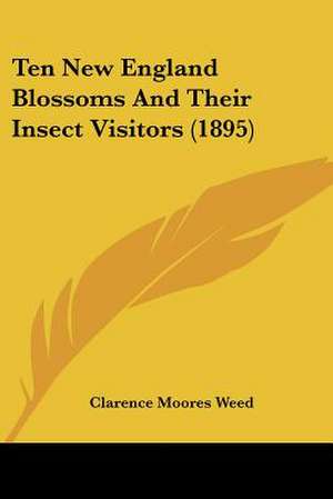 Ten New England Blossoms And Their Insect Visitors (1895) de Clarence Moores Weed