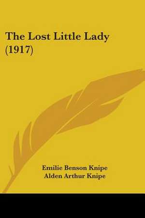 The Lost Little Lady (1917) de Emilie Benson Knipe