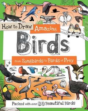 How to Draw Amazing Birds de Fiona Gowen