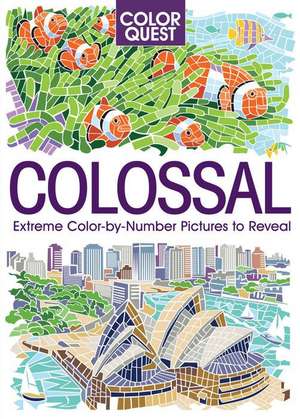 Color Quest: Colossal de Daniela Geremia