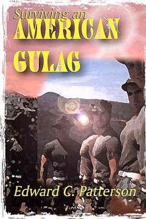 Surviving an American Gulag: The Best Arguments for Not Paying Your Income Tax de Patterson, Edward C.