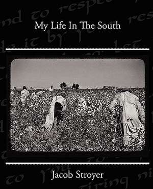 My Life in the South: Quahaug de Jacob Stroyer