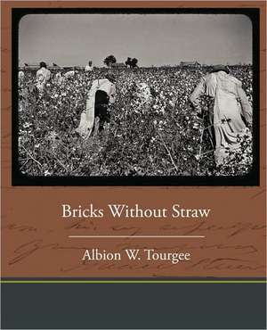 Bricks Without Straw de Albion Winegar Tourgee