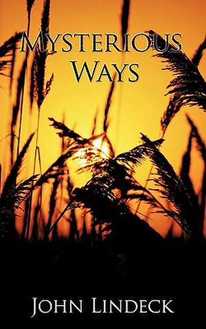 Mysterious Ways de John Lindeck