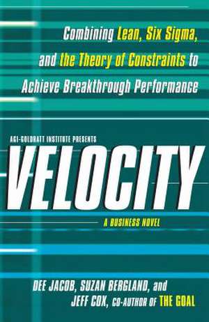 Velocity: A Business Novel de Dee Jacob