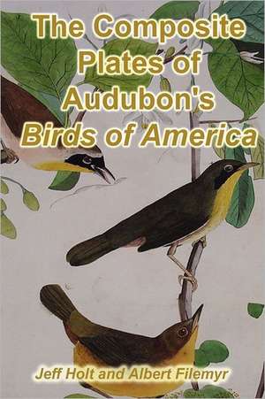 The Composite Plates of Audubon's Birds of America: Holiness and Personal Separation in Biblical Perspective de Jeff Holt