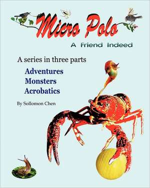 Micro Polo: A Friend Indeed de Sollomon Chen