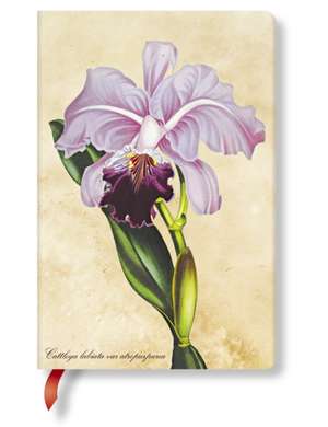 PAINTED BOTANICALS BRAZILIAN ORCHID MINI de UNL