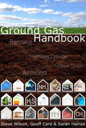 Ground Gas Handbook de Steve Wilson