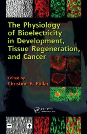 The Physiology of Bioelectricity in Development, Tissue Regeneration and Cancer de Christine E. Pullar