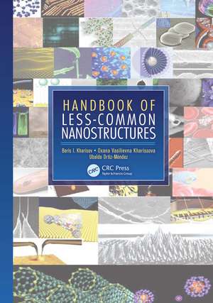 Handbook of Less-Common Nanostructures de Boris I. Kharisov