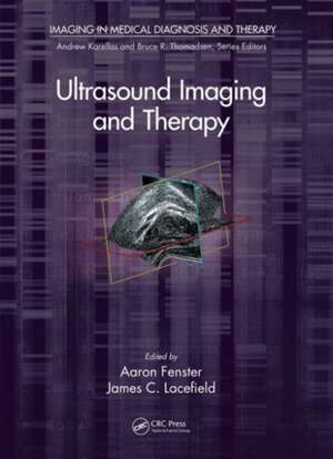 Ultrasound Imaging and Therapy de Aaron Fenster