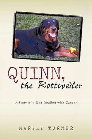 Quinn, the Rottweiler de Turner Maryly Turner