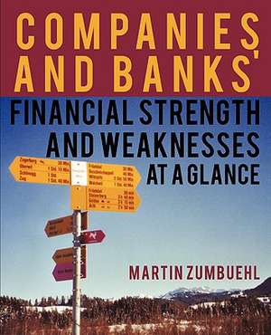 Companies and Banks' Financial Strength and Weaknesses at a Glance de Martin Zumbuehl