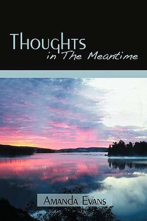 Thoughts in the Meantime de Evans Amanda Evans