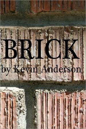 Brick de Kevin Anderson