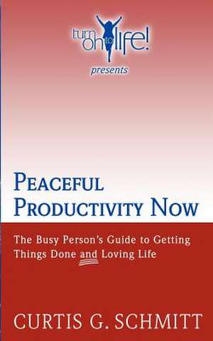 Peaceful Productivity Now de Curtis G. Schmitt