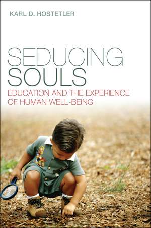 Seducing Souls: Education and the Experience of Human Well-Being de Karl D. Hostetler