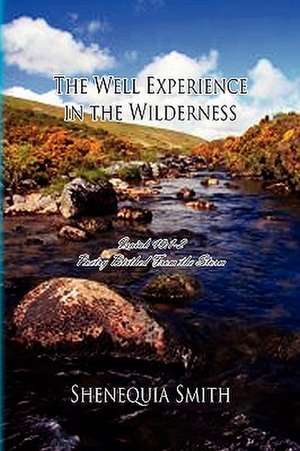 The Well Experience in the Wilderness de Shenequia Smith