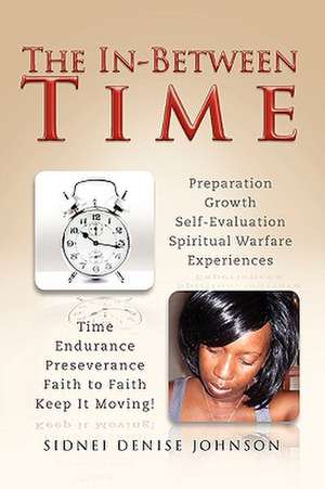 The In-Between Time de Sidnei Denise Johnson