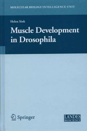 Muscle Development in Drosophilia de Helen Sink