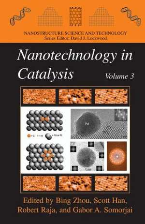 Nanotechnology in Catalysis 3 de Bing Zhou