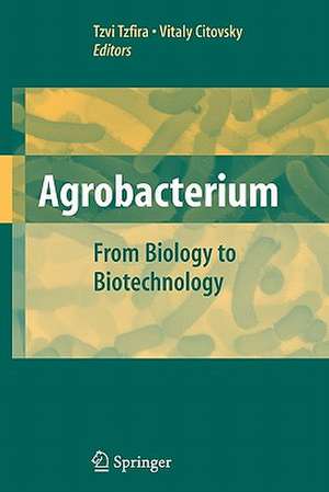 Agrobacterium: From Biology to Biotechnology de Tzvi Tzfira