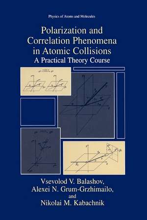 Polarization and Correlation Phenomena in Atomic Collisions: A Practical Theory Course de Vsevolod V. Balashov