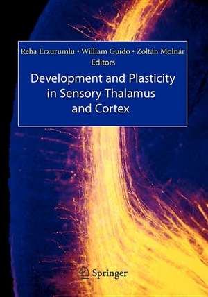 Development and Plasticity in Sensory Thalamus and Cortex de Reha Erzurumlu