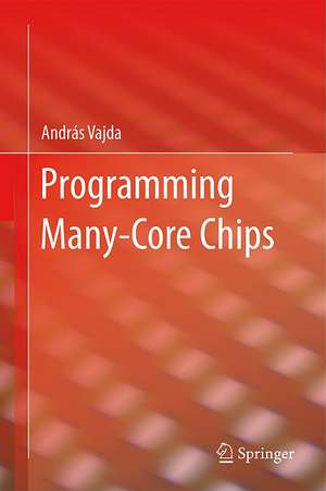 Programming Many-Core Chips de András Vajda