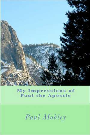 My Impressions of Paul the Apostle: Inspirations in Hope de Paul Mobley