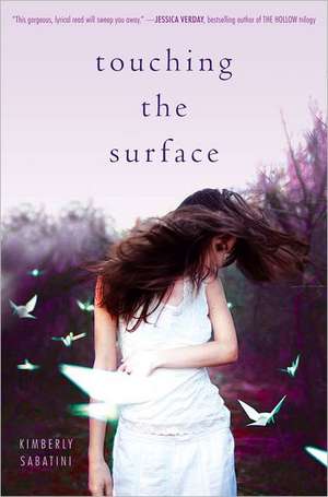 Touching the Surface de Kimberly Sabatini