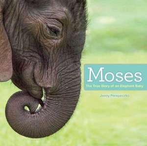 Moses: The True Story of an Elephant Baby de Jenny Perepeczko