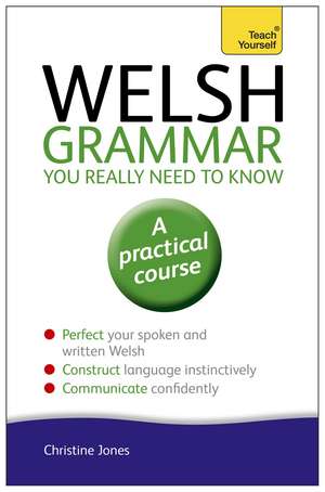 Welsh Grammar You Really Need to Know